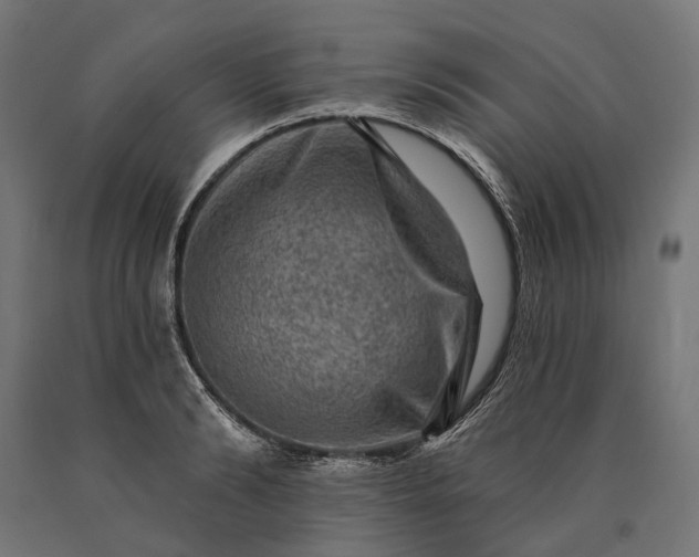 X0000090730894200708031521