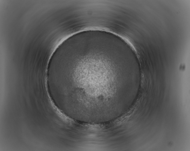 X0000090730895200708031521