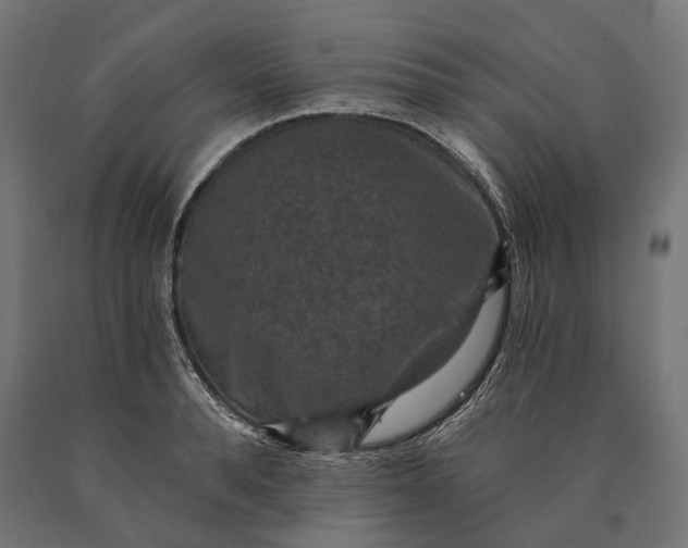 X0000090730896200708031521