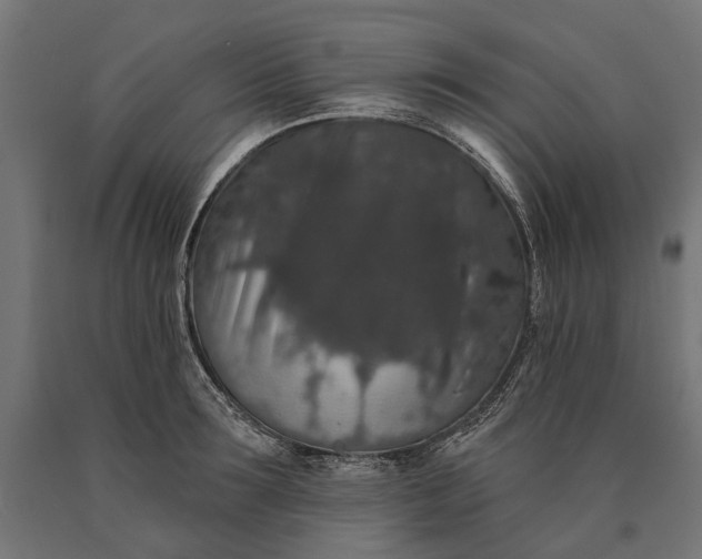 X0000090730899200708031521