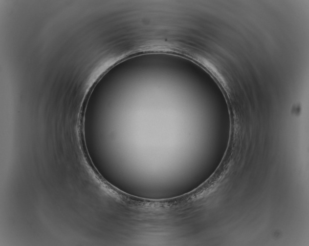 X0000090730901200708031521