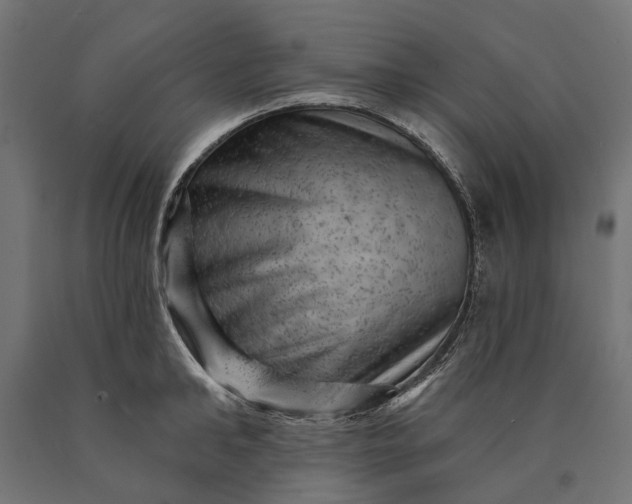 X0000090730902200708031521