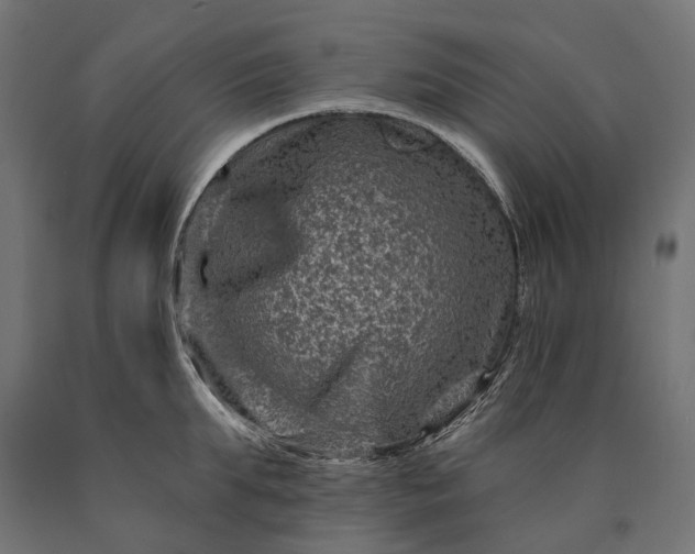 X0000090730903200708031521