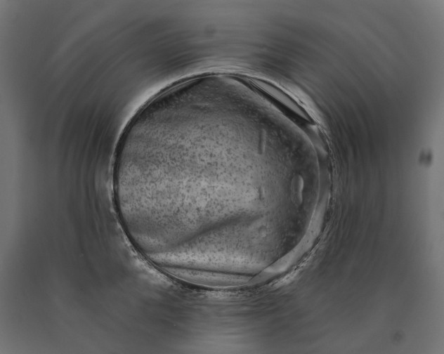 X0000090730904200708031521