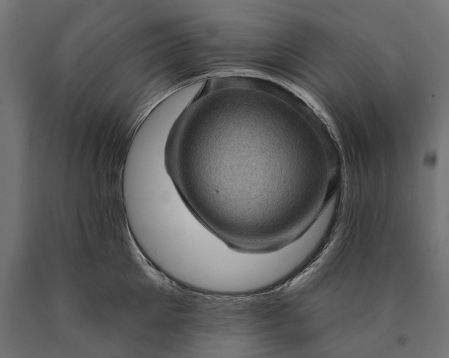 X0000090730905200708031521