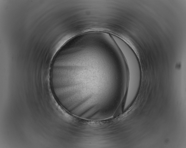 X0000090730906200708031521