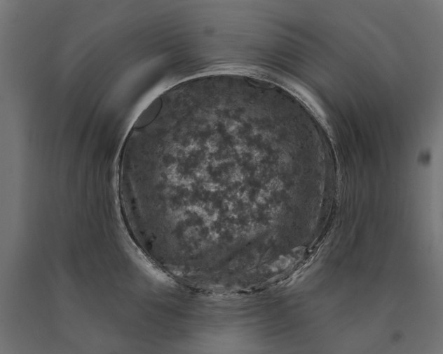 X0000090730907200708031521