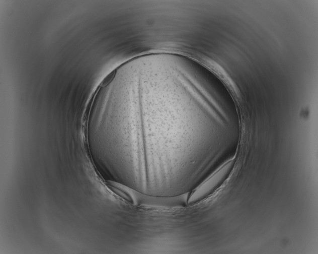 X0000090730908200708031521