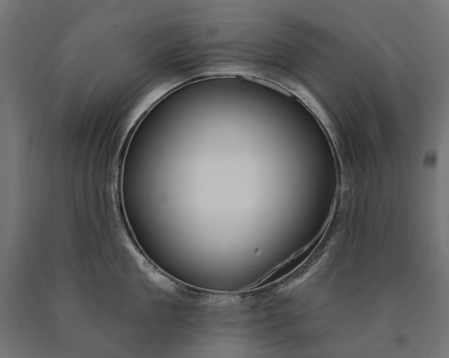 X0000090730909200708031521