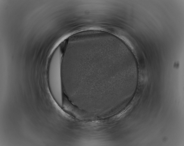 X0000090730910200708031521