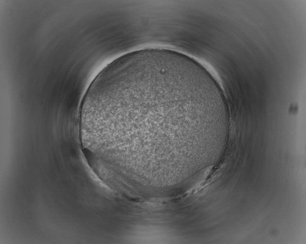 X0000090730911200708031521