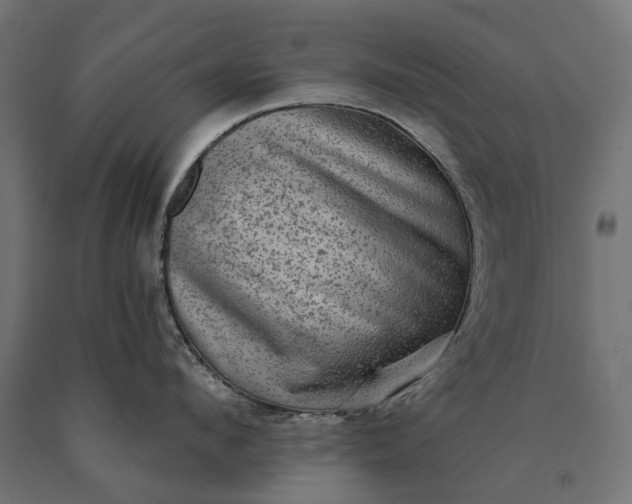 X0000090730912200708031520