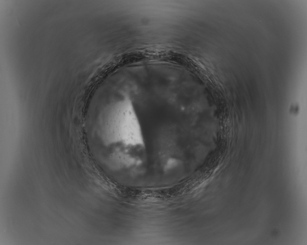 X0000090730913200708031520