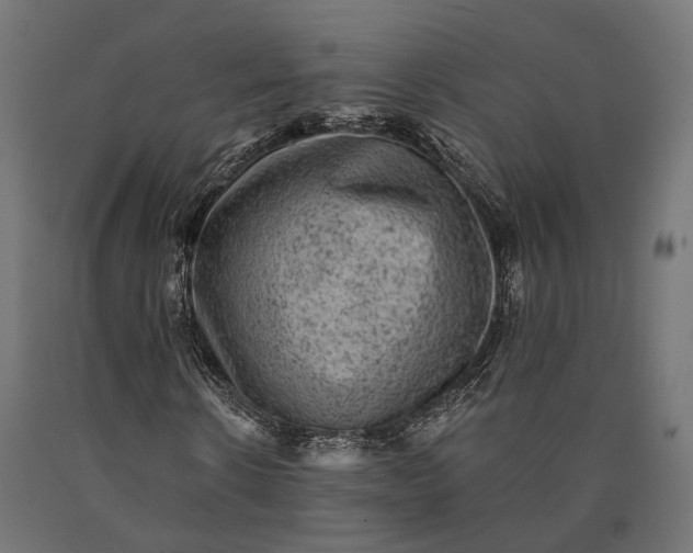 X0000090730914200708031520