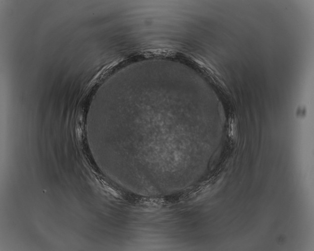 X0000090730915200708031520