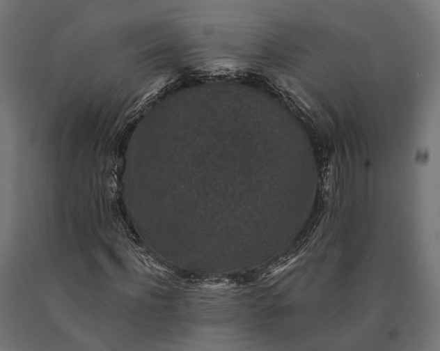 X0000090730916200708031520