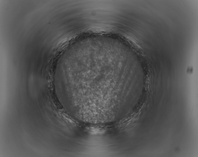 X0000090730917200708031520