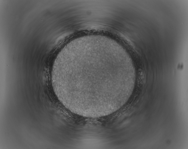 X0000090730918200708031520