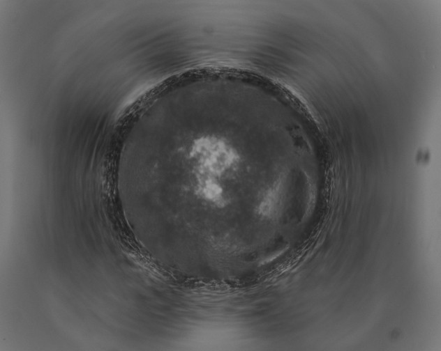 X0000090730919200708031520