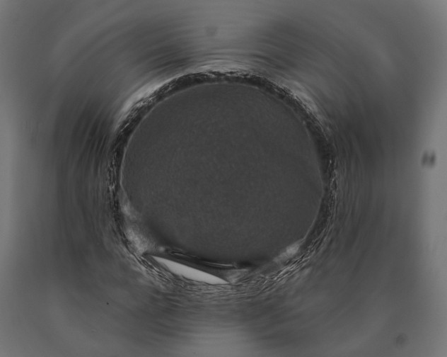 X0000090730920200708031520