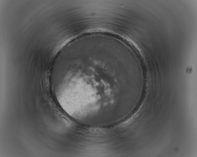 X0000090730921200708031520