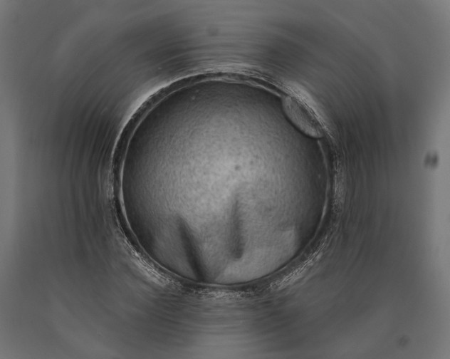 X0000090730924200708031520