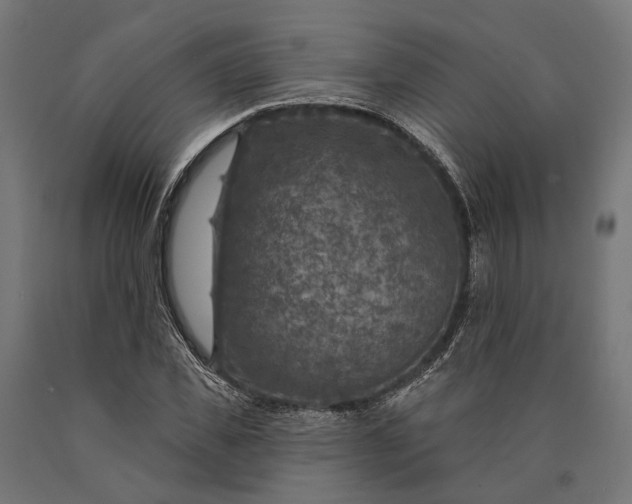 X0000090730925200708031520