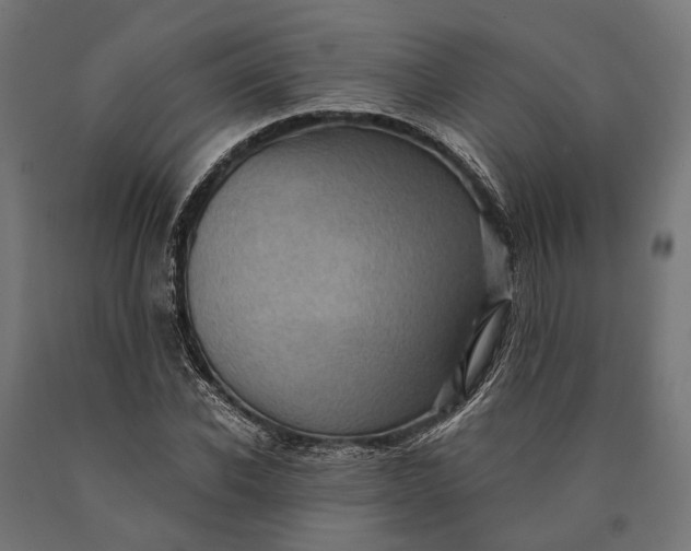 X0000090730926200708031520