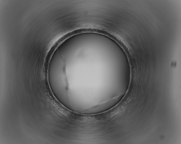 X0000090730927200708031520