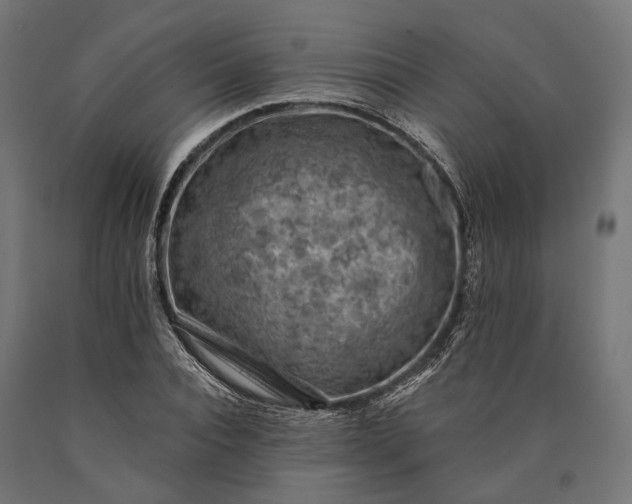 X0000090730928200708031520