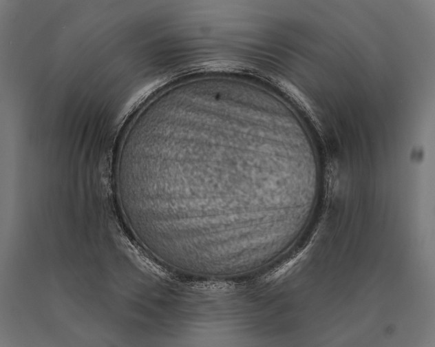 X0000090730930200708031520