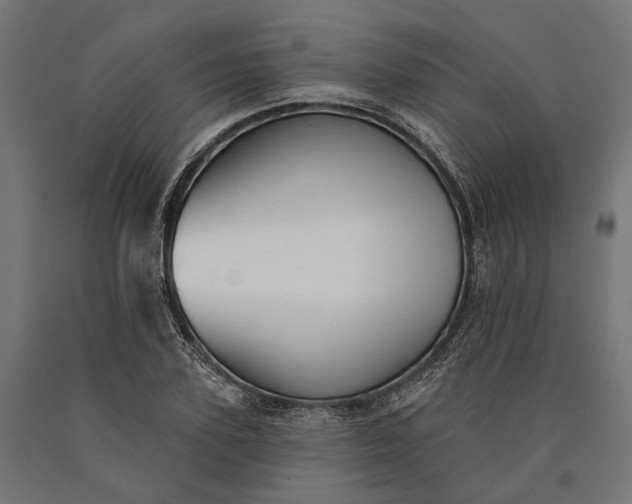 X0000090730931200708031520