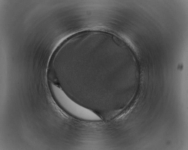 X0000090730932200708031520