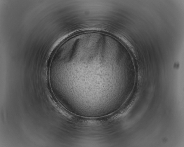 X0000090730933200708031520