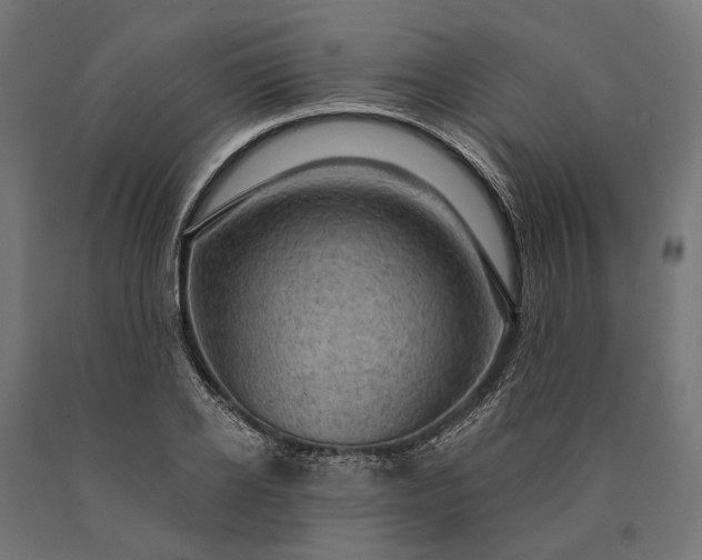 X0000090730934200708031520