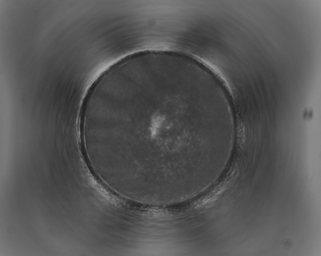 X0000090730935200708031520