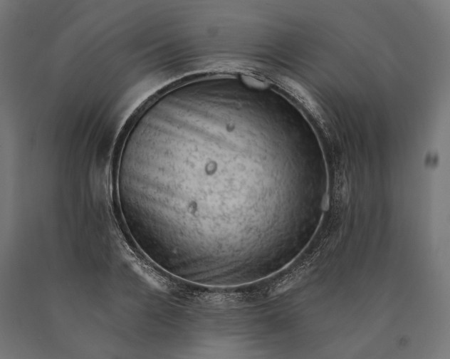 X0000090730936200708031520