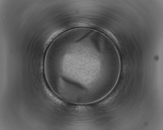 X0000090730938200708031520