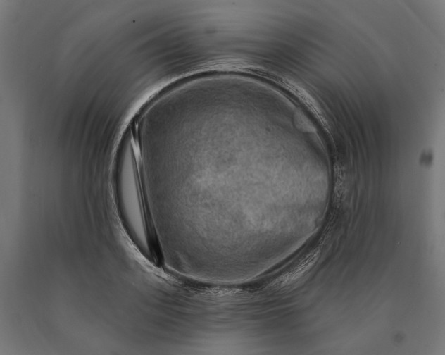 X0000090730939200708031520