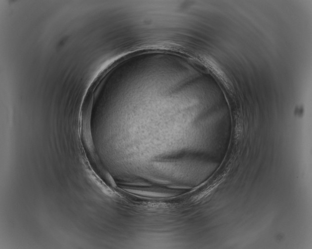 X0000090730940200708031520