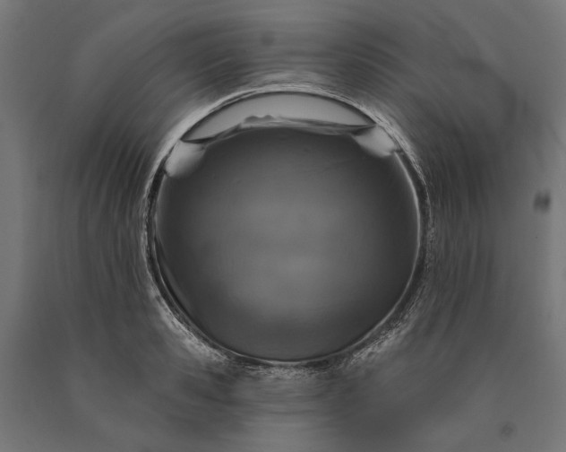 X0000090730941200708031520