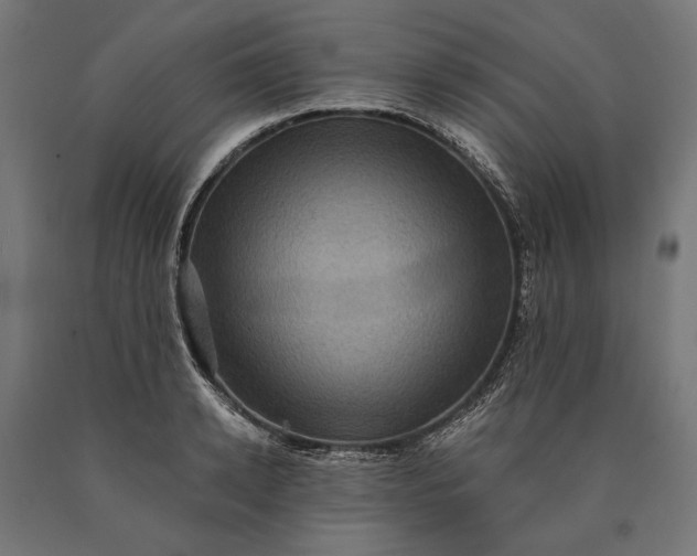 X0000090730942200708031520