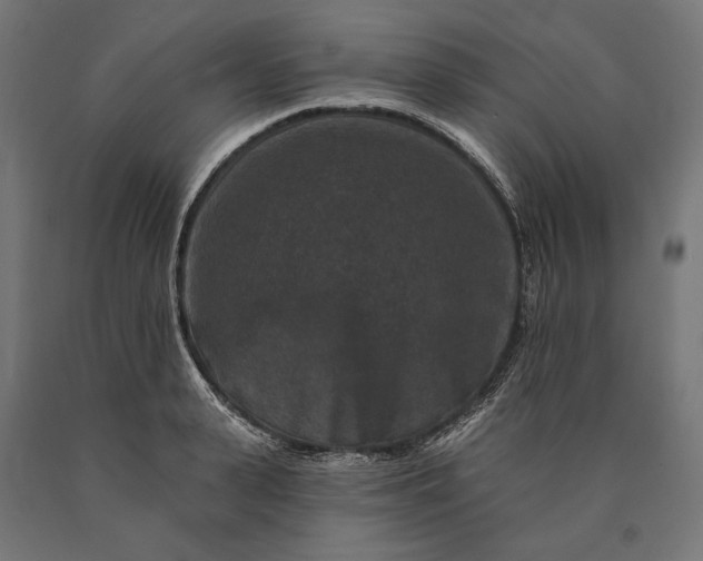 X0000090730943200708031520