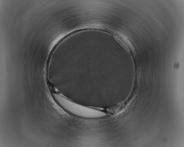 X0000090730944200708031520