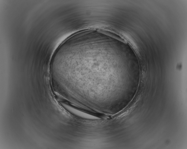 X0000090730948200708031520