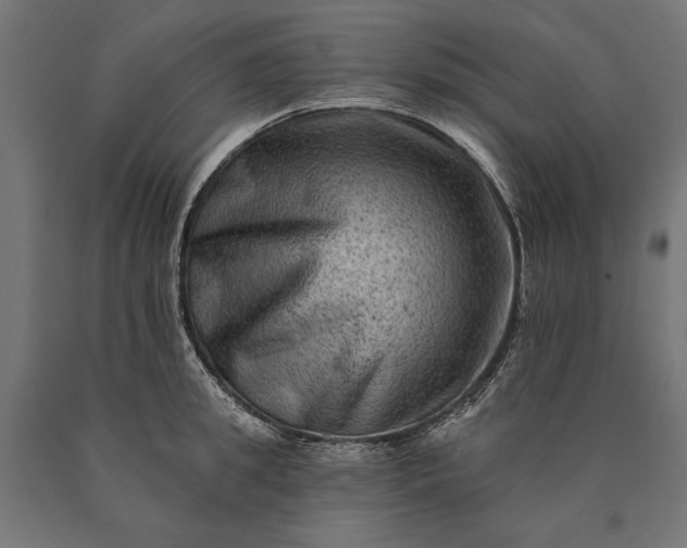 X0000090730949200708031520