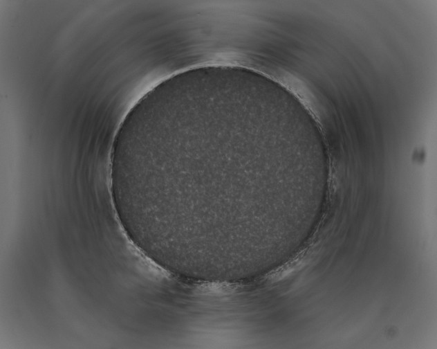 X0000090730950200708031520