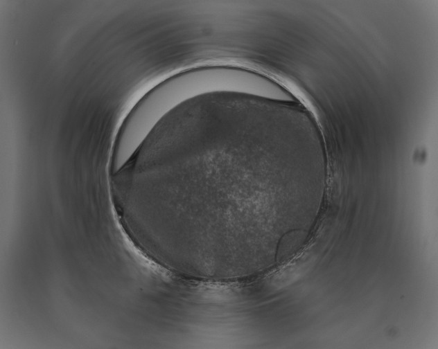 X0000090730951200708031520