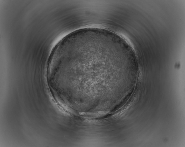 X0000090730952200708031520