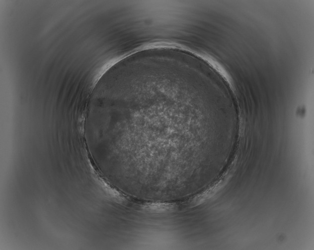 X0000090730953200708031520